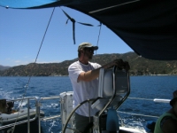 opt 018.jpg